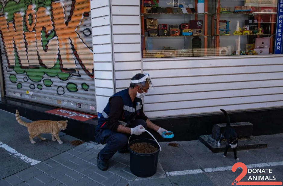 Donate TRX to injured cats general from another country