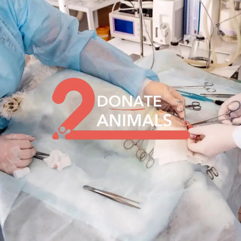 Donate 2Animals — animal in our care