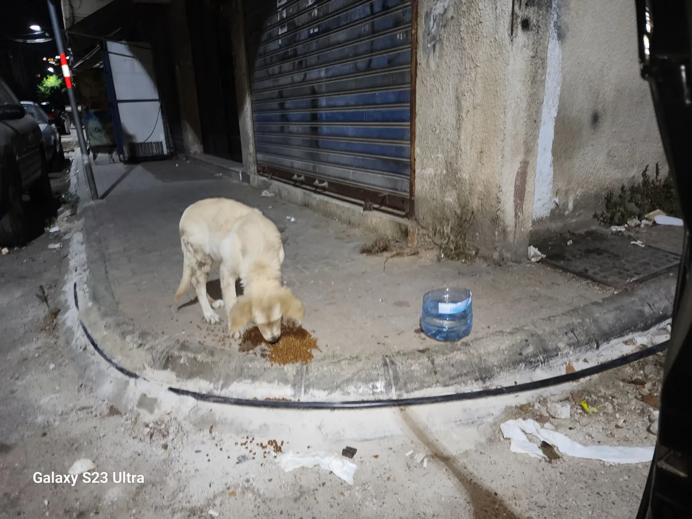 Small USDC donation to general for injured dogs