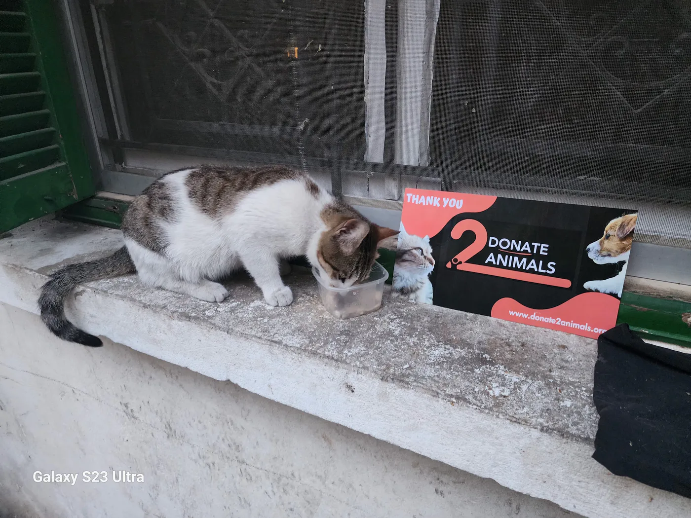 Copy the USDC wallet to help street animals with surgery