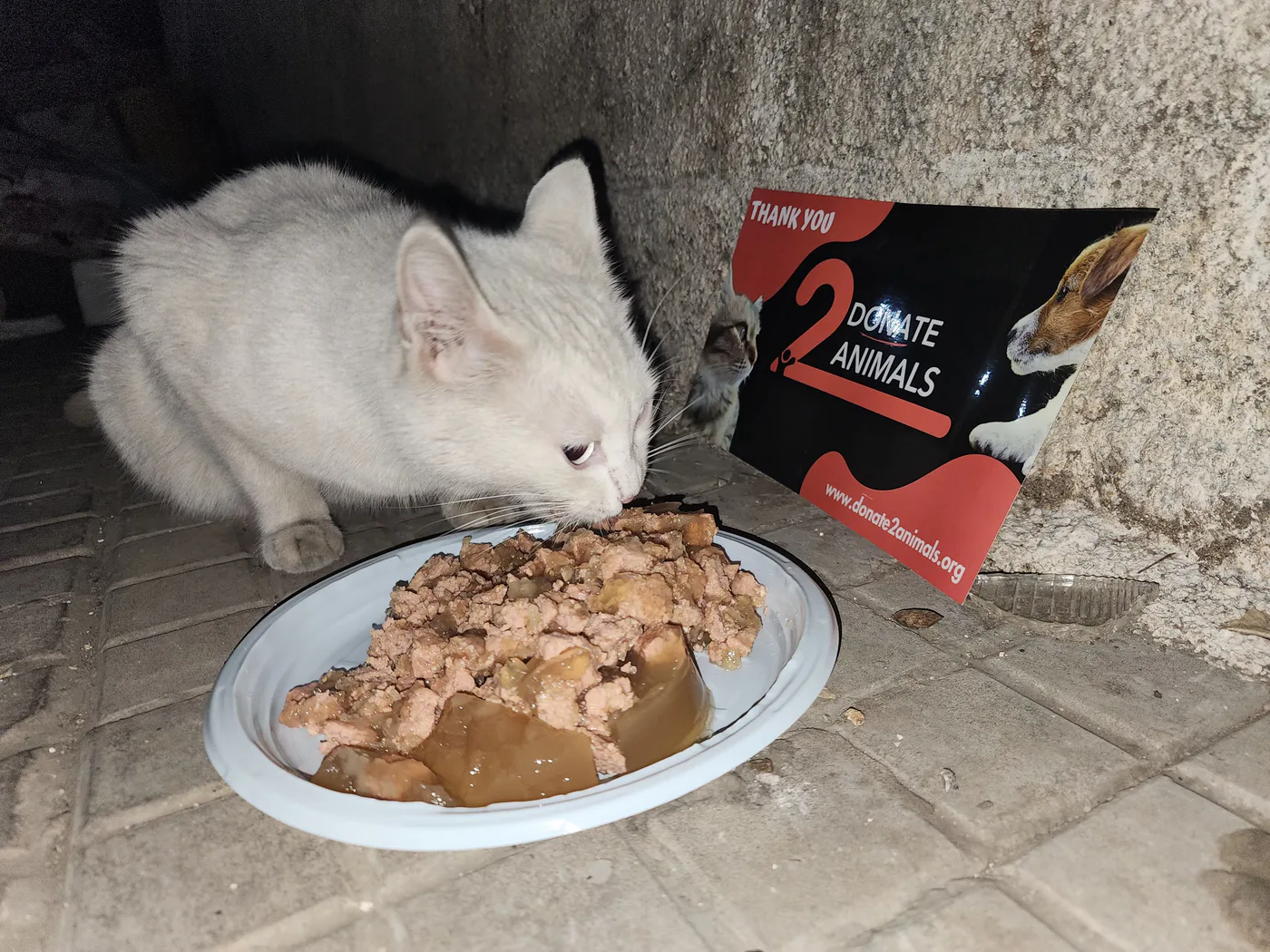Is it safe to donate TRX for kittens surgery?