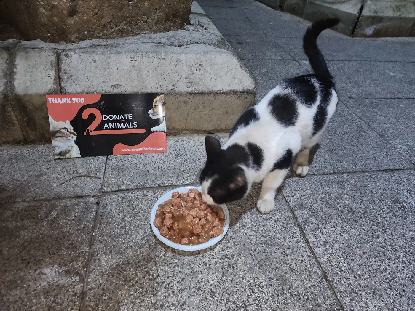 شهري TRX donation for street animals feeding