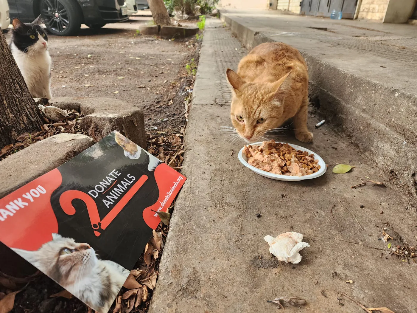 Scan a QR code to donate to animals