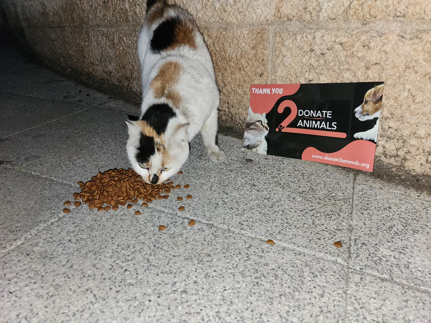 Donate TRX from your phone to injured cats general